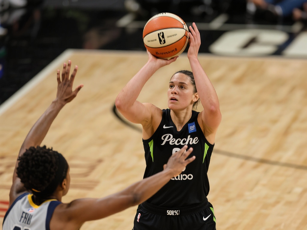 他在接触九 他在接触九