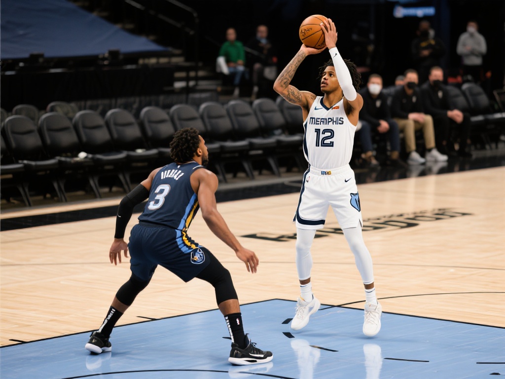 关注平台的 关注平台的